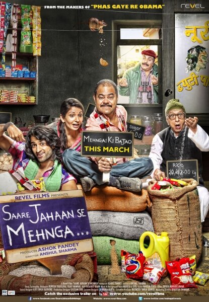 Saare Jahaan Se Mehnga (2013)